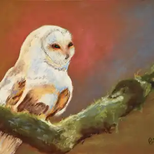 Blancheur nocturne - Pastel