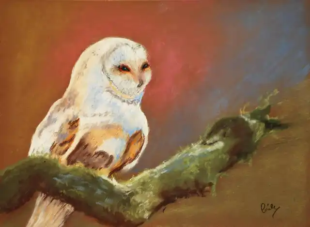 Blancheur nocturne - Pastel