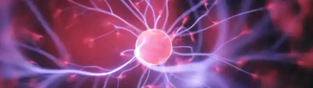 Une façon amusante de garder votre cerveau actif cet été