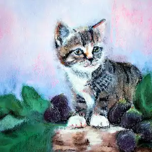 Le chat d'Eus - Gouache