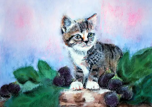 Le chat d'Eus - Gouache