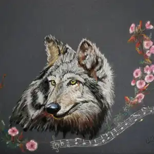 Le loup des Abruzzes