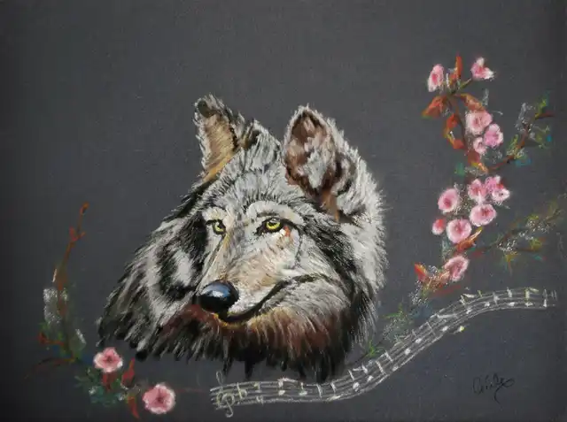 Le loup des Abruzzes