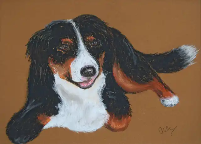 Mon chien fidèle - Pastel
