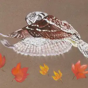 Vent d'automne - Pastel