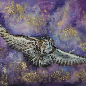 Vol étoilé - Gouache