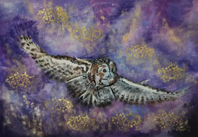 Vol étoilé - Gouache